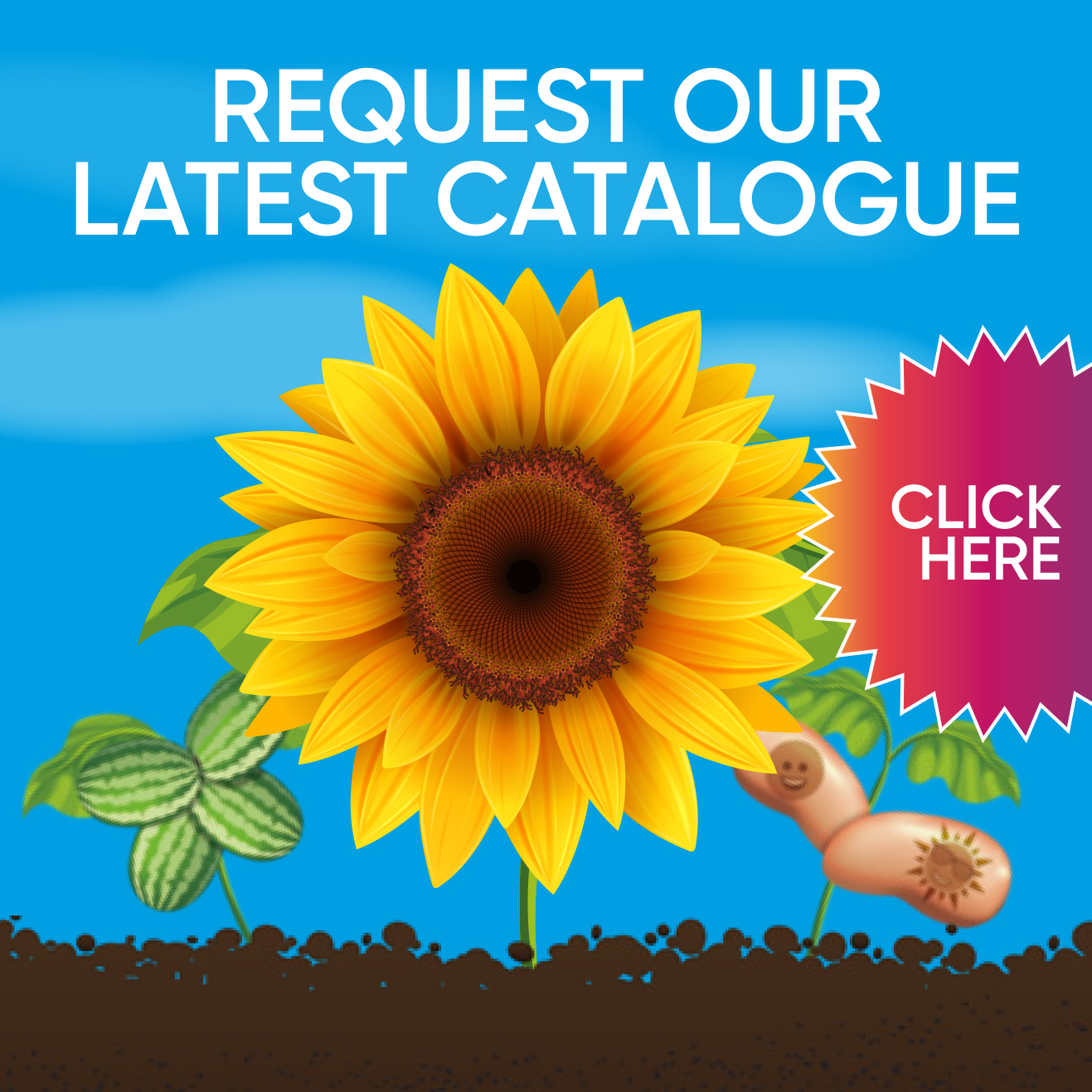 Download our catalogue