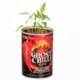 GYO Ghost Chilli