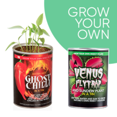 Fun plants in a tin to grow yourself