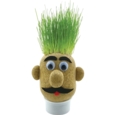 Grass Head