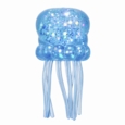 Jelly Squish